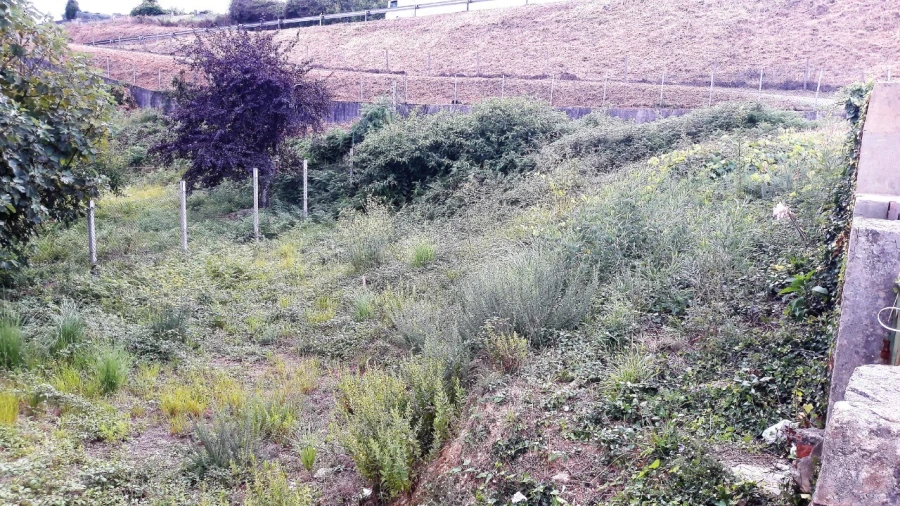 Terreno para Venda em São João da Madeira Foto 2