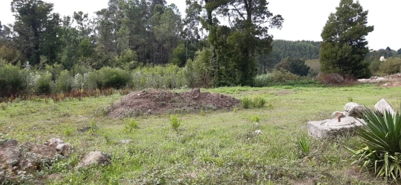 Terreno para Venda em São Roque