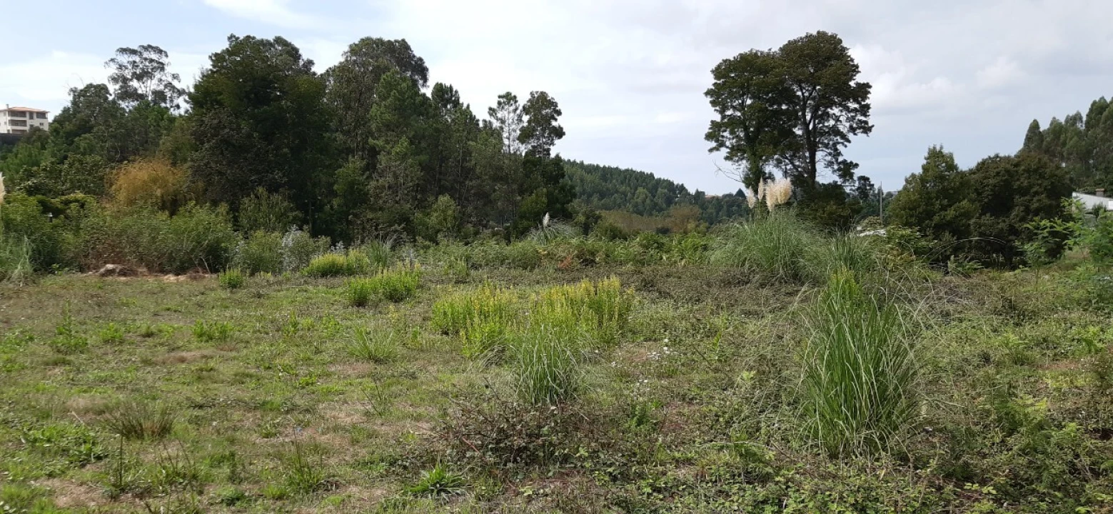 Terreno para Venda em São Roque Foto 1