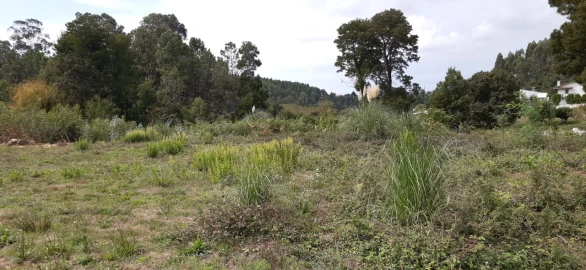 Terreno para Venda em São Roque