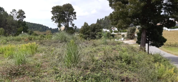 Terreno para Venda em São Roque