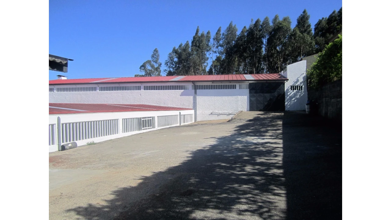 Armazém para Venda em Vila de Cucujães Foto 1