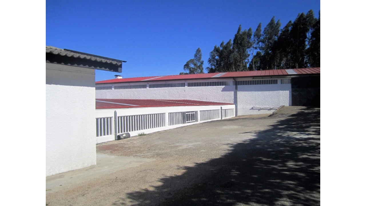 Armazém para Venda em Vila de Cucujães Foto 16