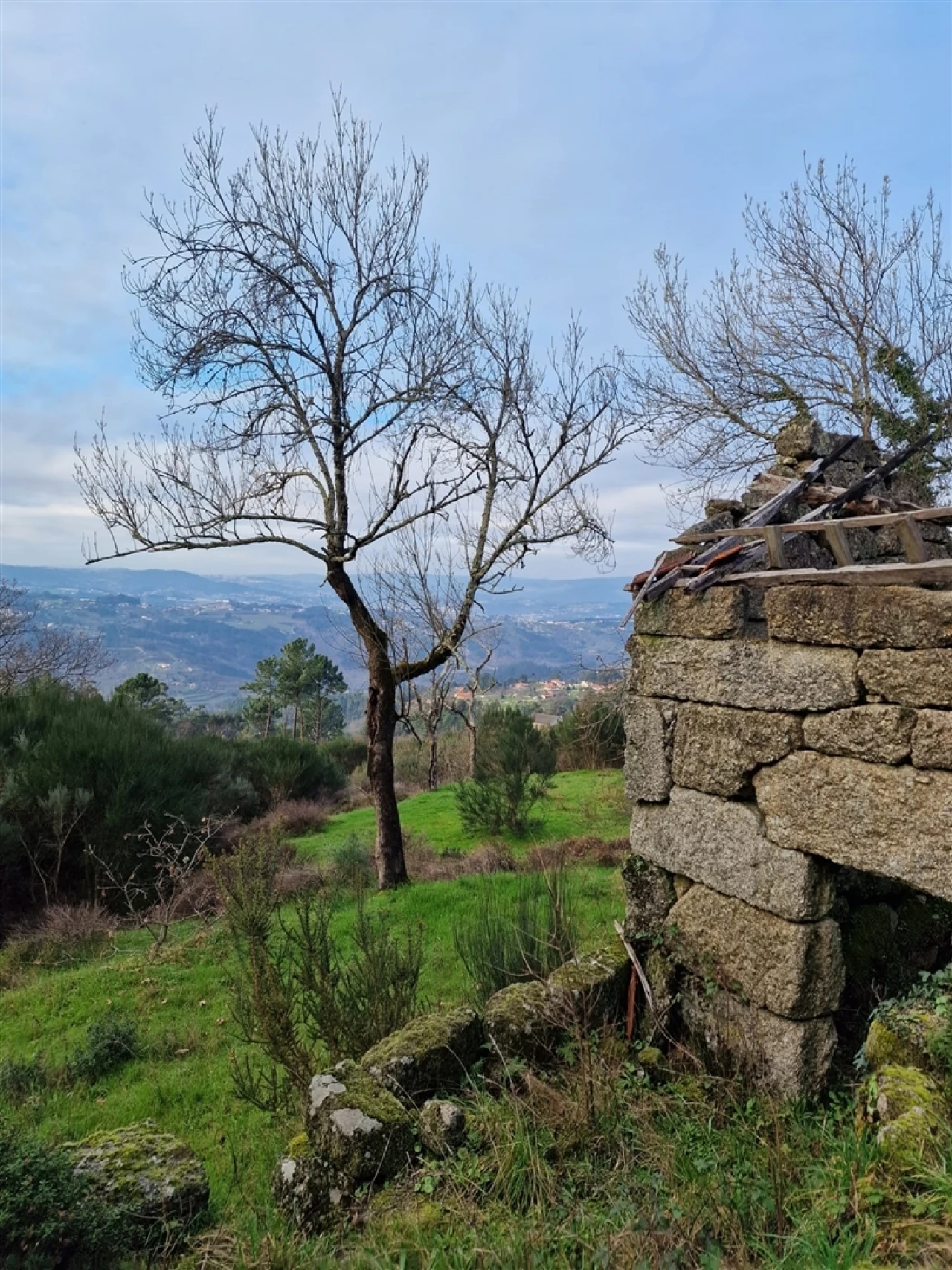 Quinta T0 para Venda em Várzea, Aliviada e Folhada Foto 2