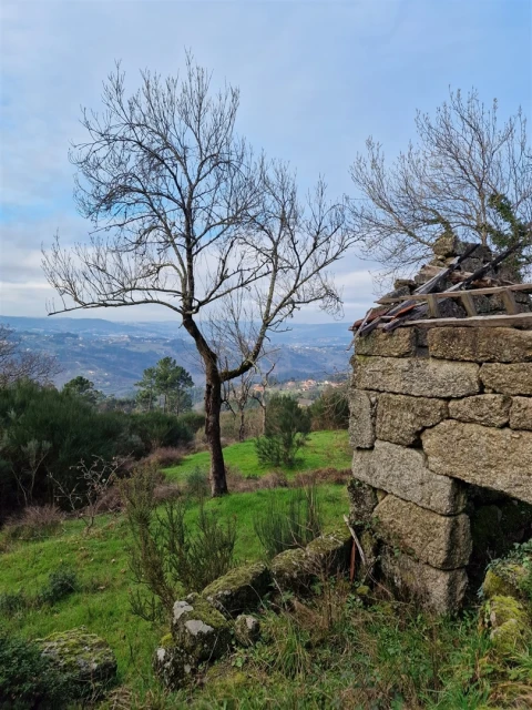 Quinta T0 para Venda em Várzea, Aliviada e Folhada