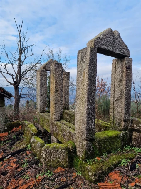 Quinta T0 para Venda em Várzea, Aliviada e Folhada