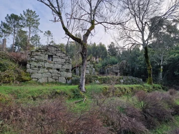 Quinta T0 para Venda em Várzea, Aliviada e Folhada