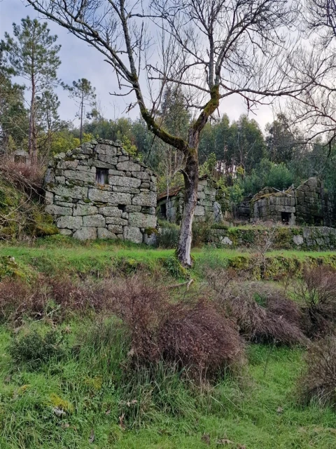 Quinta T0 para Venda em Várzea, Aliviada e Folhada