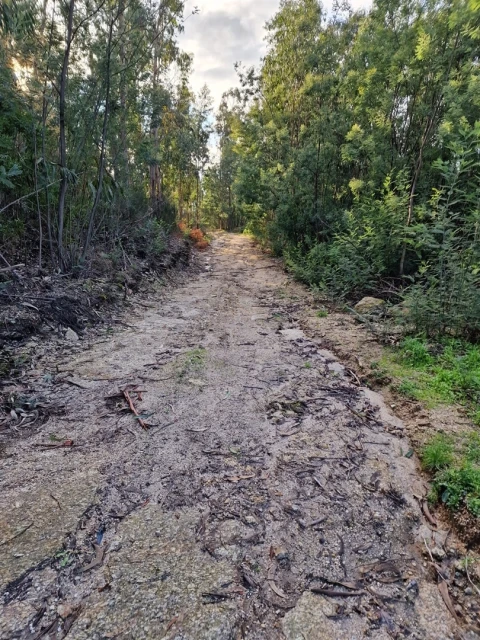 Quinta T0 para Venda em Várzea, Aliviada e Folhada