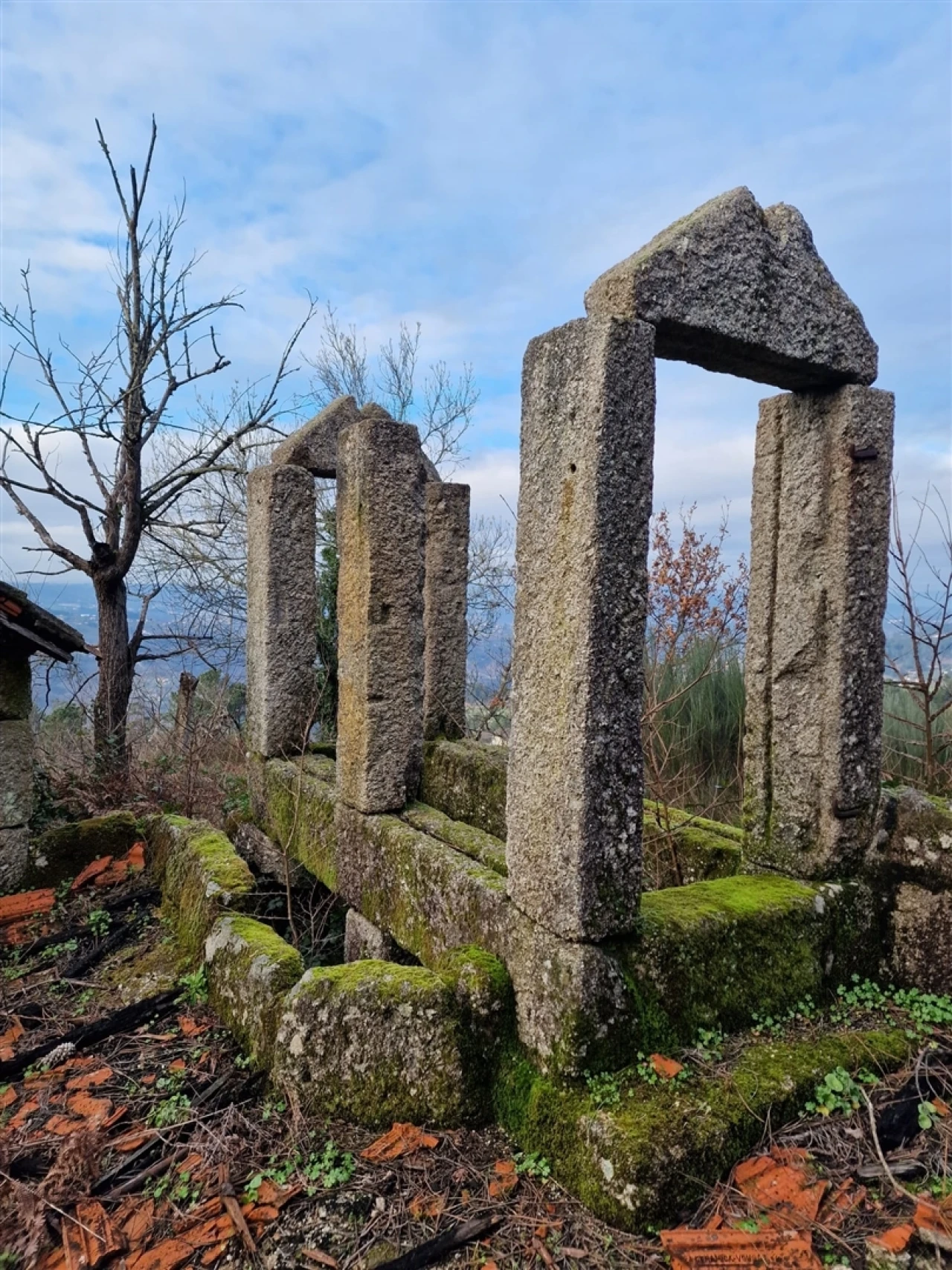 Quinta T0 para Venda em Várzea, Aliviada e Folhada Foto 1