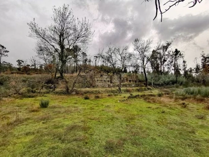Quinta T0 para Venda em Várzea, Aliviada e Folhada Foto 8