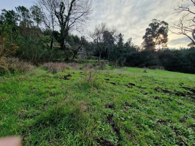 Quinta T0 para Venda em Várzea, Aliviada e Folhada Foto 7