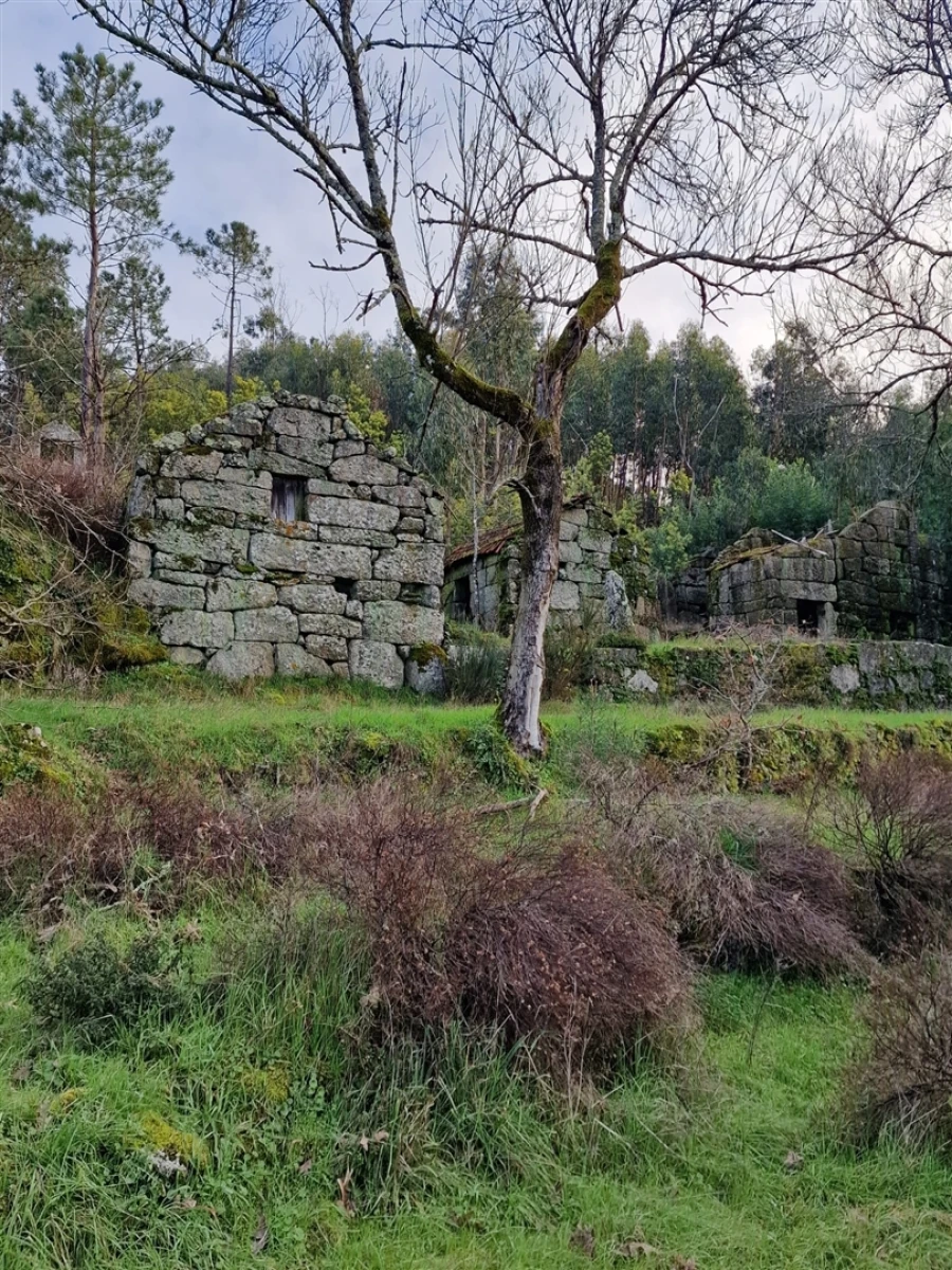 Quinta T0 para Venda em Várzea, Aliviada e Folhada Foto 14