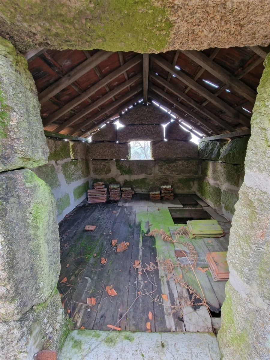 Quinta T0 para Venda em Várzea, Aliviada e Folhada Foto 12