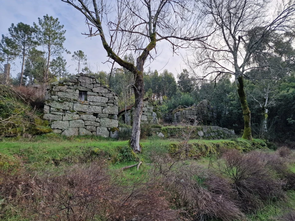 Quinta T0 para Venda em Várzea, Aliviada e Folhada Foto 15