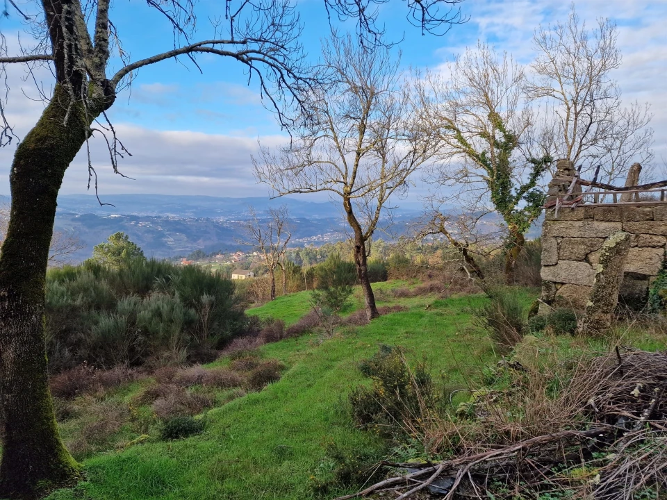 Quinta T0 para Venda em Várzea, Aliviada e Folhada Foto 11