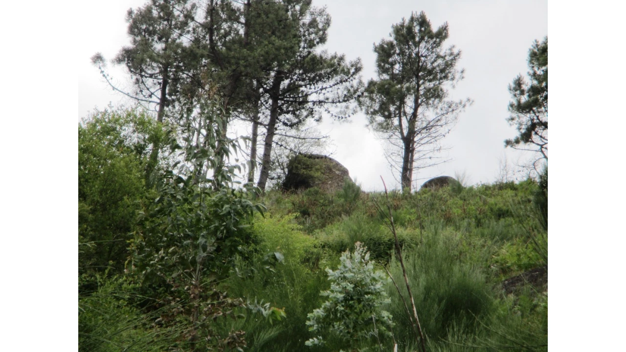 Terreno para Venda em Guilhofrei Foto 3