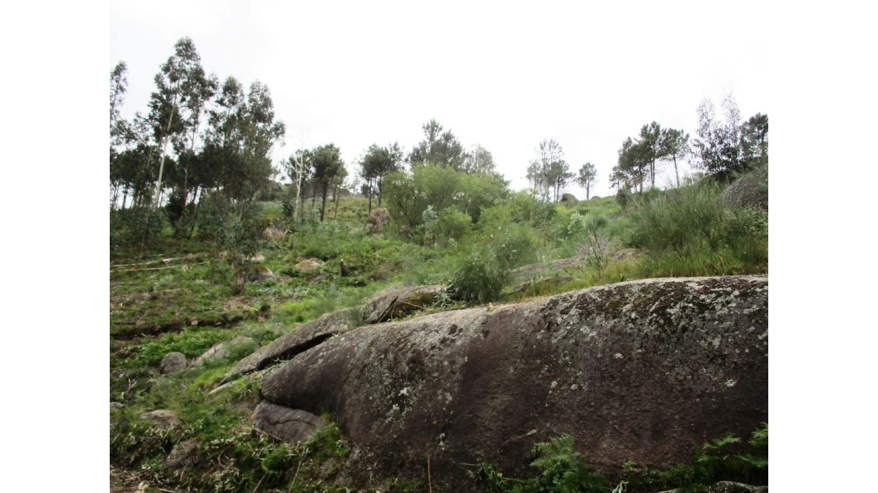 Terreno para Venda em Guilhofrei Foto 5