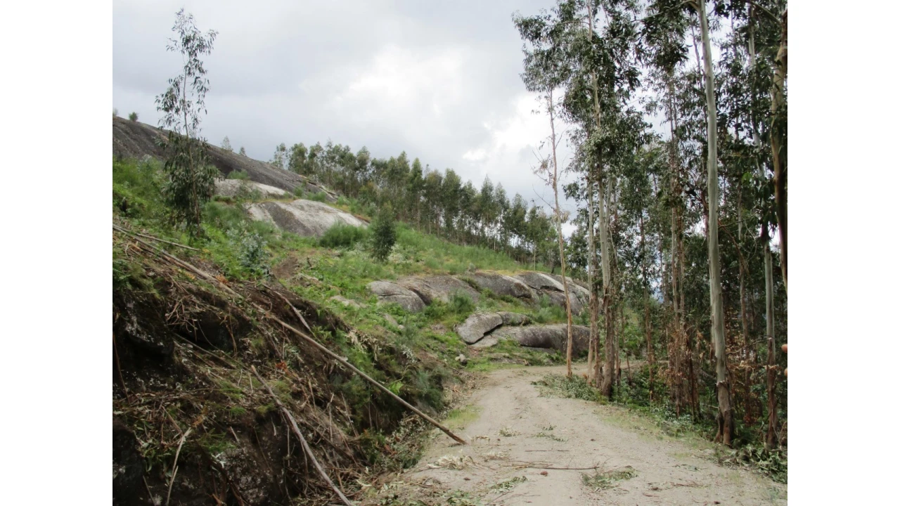 Terreno para Venda em Guilhofrei Foto 1