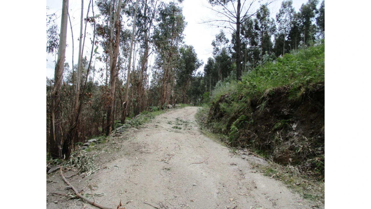 Terreno para Venda em Guilhofrei Foto 2