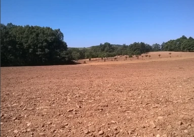 Terreno para Venda em Vilar de Ossos