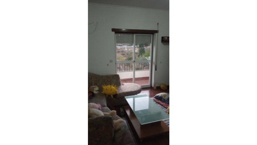 Apartamento T3 para Venda em Proença-A-Nova e Peral Foto 5