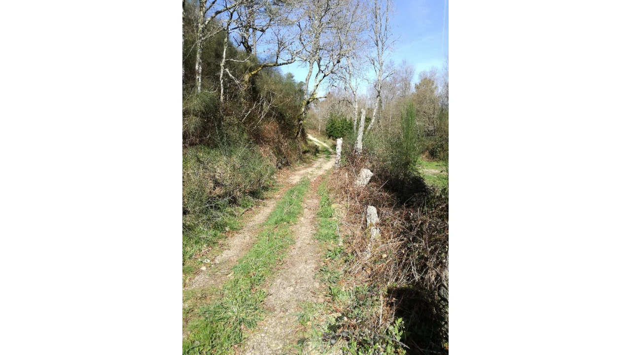 Terreno para Venda em Pias Foto 2