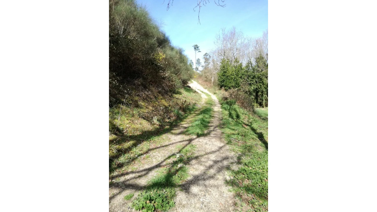 Terreno para Venda em Pias Foto 7