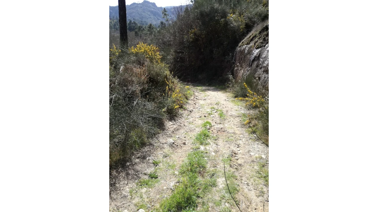 Terreno para Venda em Pias Foto 8