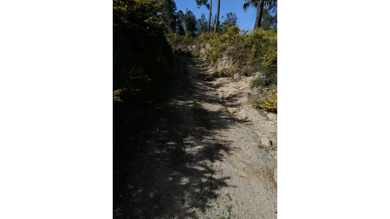 Terreno para Venda em Pias Foto 9