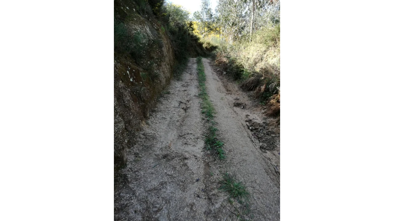 Terreno para Venda em Pias Foto 10