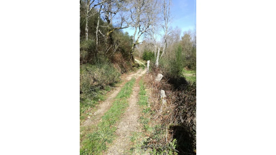 Terreno para Venda em Pias Foto 2