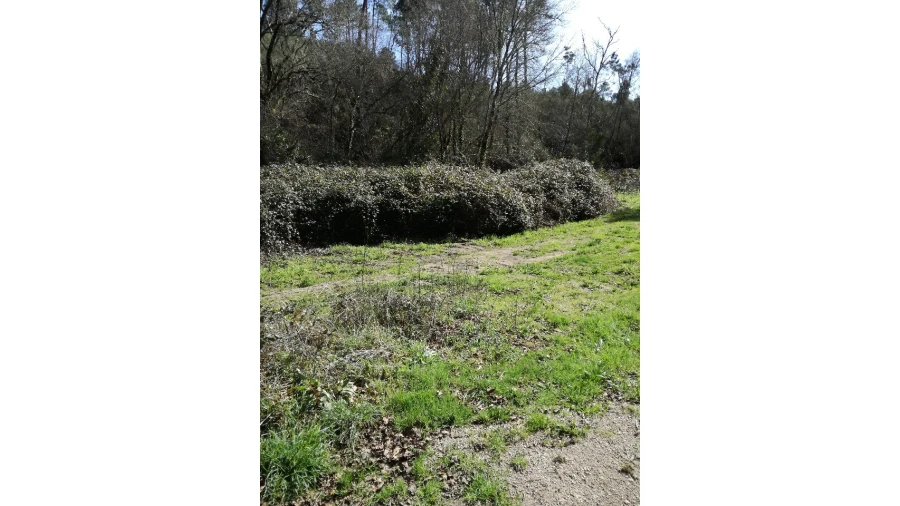 Terreno para Venda em Pias Foto 3