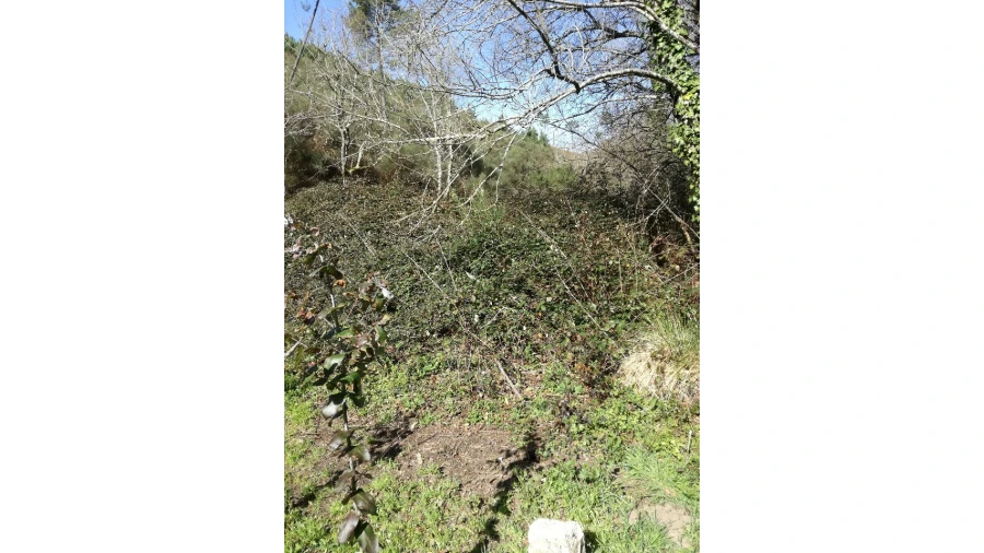 Terreno para Venda em Pias Foto 5