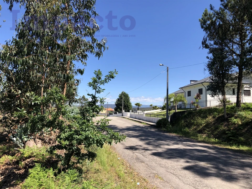 Terreno Agricola ou Rústico para Venda em Canedo, Vale e Vila Maior Foto 8