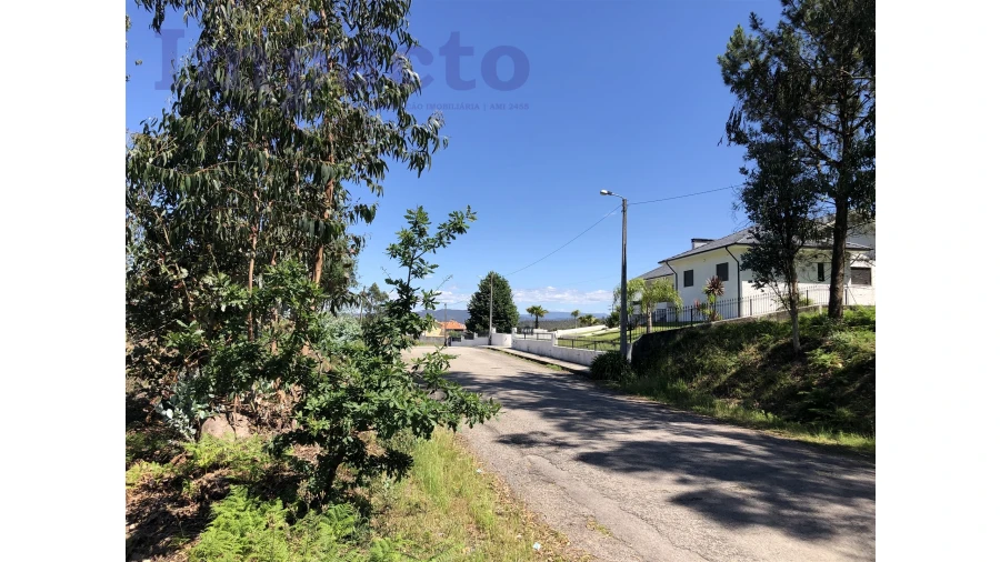 Terreno Agricola ou Rústico para Venda em Canedo, Vale e Vila Maior Foto 8