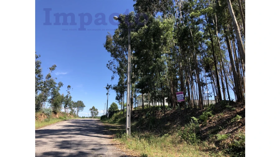 Terreno Agricola ou Rústico para Venda em Canedo, Vale e Vila Maior Foto 1