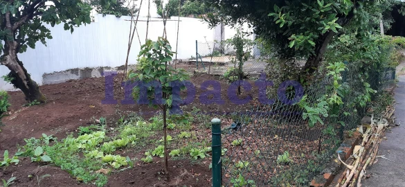 Terreno para Venda em São João da Madeira