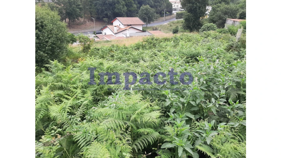 Terreno Agricola ou Rústico para Venda em São Roque Foto 8