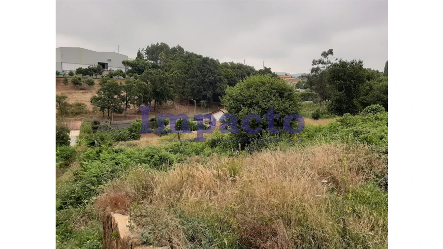 Terreno Agricola ou Rústico para Venda em São Roque Foto 4