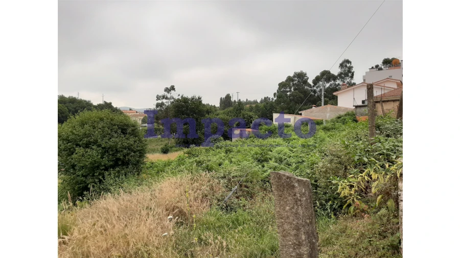 Terreno Agricola ou Rústico para Venda em São Roque Foto 3