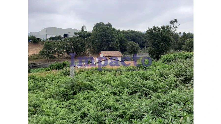 Terreno Agricola ou Rústico para Venda em São Roque Foto 9