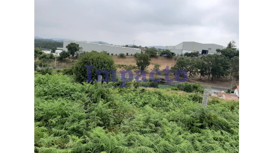 Terreno Agricola ou Rústico para Venda em São Roque Foto 10
