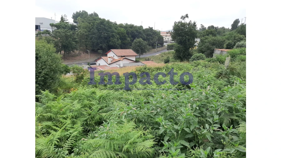 Terreno Agricola ou Rústico para Venda em São Roque Foto 6