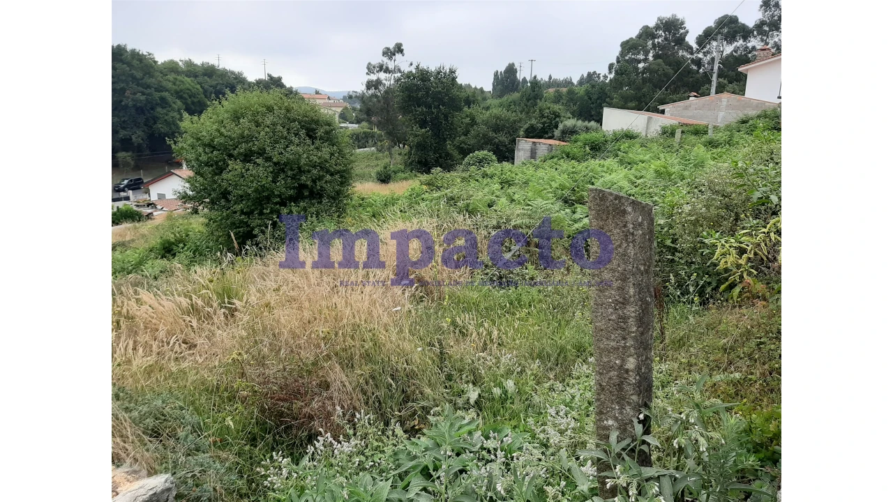 Terreno Agricola ou Rústico para Venda em São Roque Foto 5