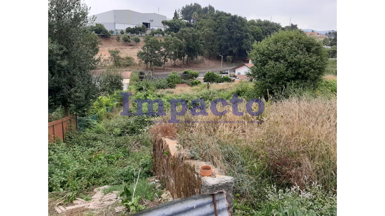 Terreno Agricola ou Rústico para Venda em São Roque Foto 2