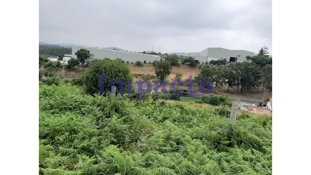 Terreno Agricola ou Rústico para Venda em São Roque Foto 10