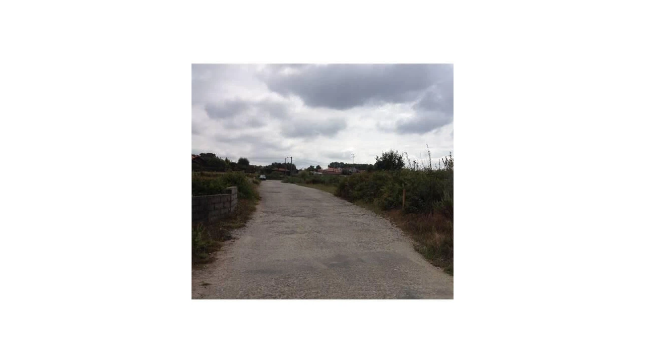 Terreno para Venda em Pinheiro da Bemposta, Travanca e Palmaz Foto 2
