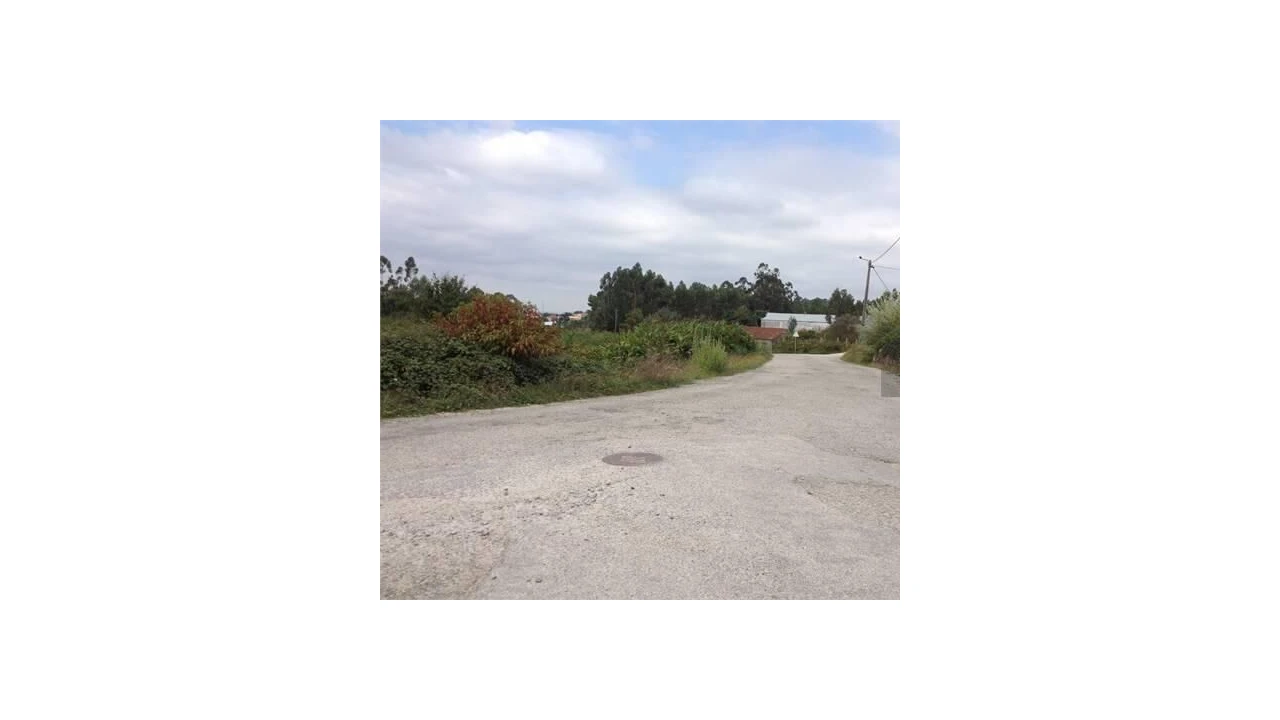Terreno para Venda em Pinheiro da Bemposta, Travanca e Palmaz Foto 3
