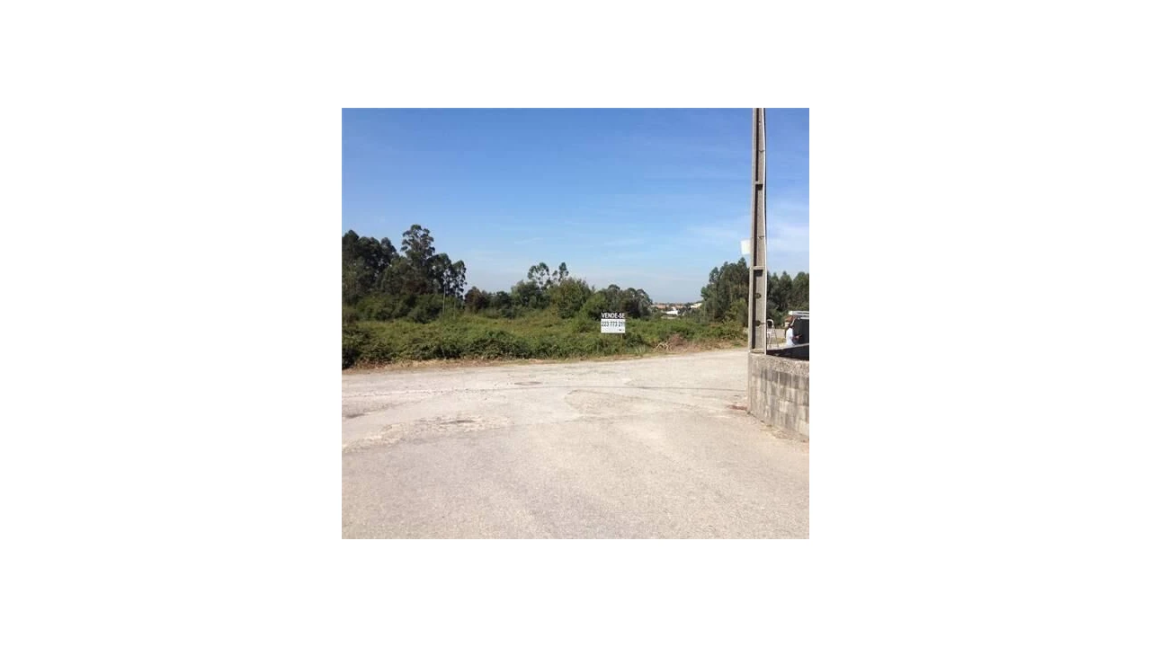 Terreno para Venda em Pinheiro da Bemposta, Travanca e Palmaz Foto 4